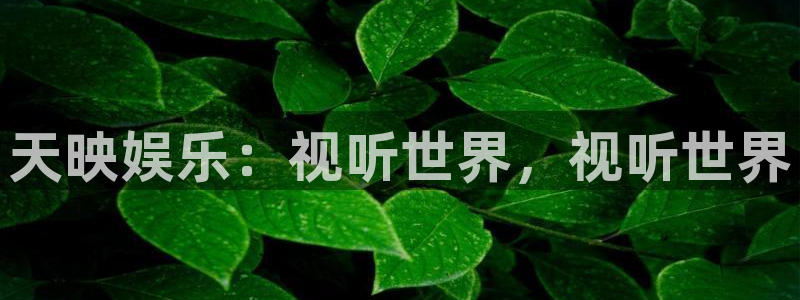 恒盛娱乐娱乐