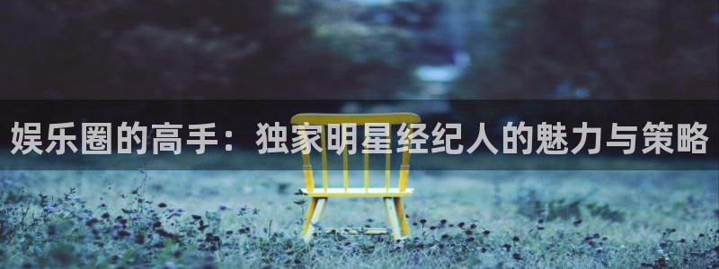恒盛娱乐平台登录：娱乐圈的高手：独家明星经纪人的魅力与策略