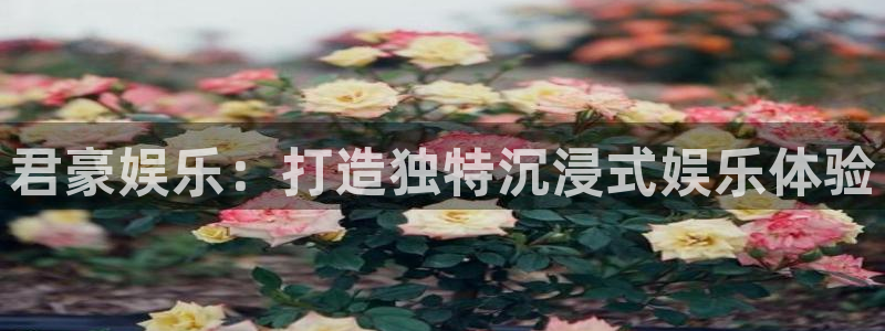 恒盛娱乐平台登录：君豪娱乐：打造独特沉浸式娱乐体验
