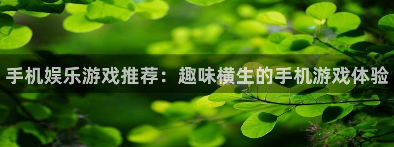 恒盛娱乐4登录：手机娱乐游戏推荐：趣味横生的手机游戏体验