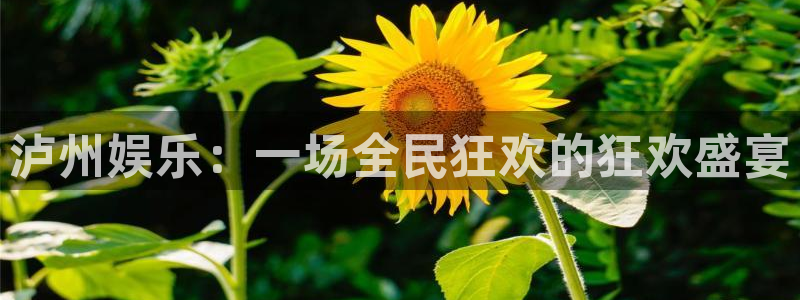 恒盛娱乐.ccmpc正版：泸州娱乐：一场全民狂欢的狂欢盛宴