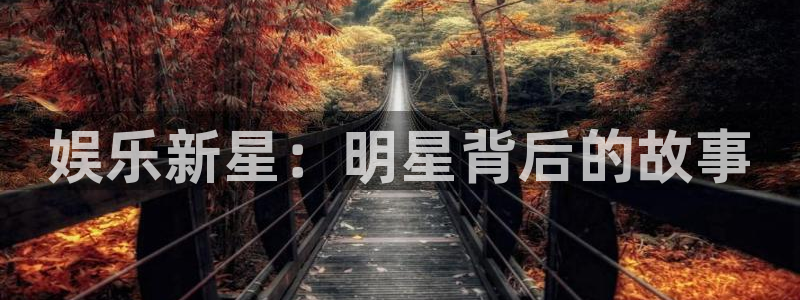 恒盛娱乐4开户：娱乐新星：明星背后的故事