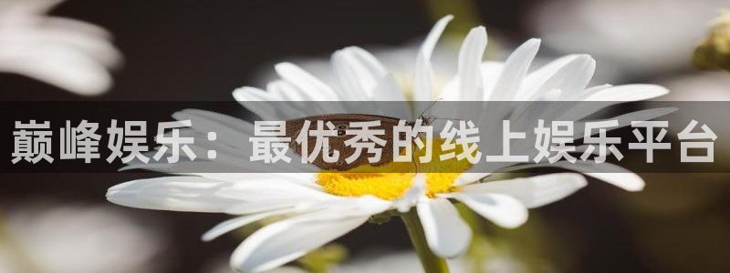 恒盛娱乐f凯捷注册：巅峰娱乐：最优秀的线上娱乐平台