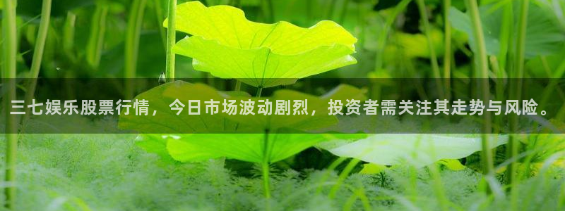 恒盛娱乐官网版下载链接：三七娱乐股票行情，今日市场波动剧烈，投资者需关注其走势与