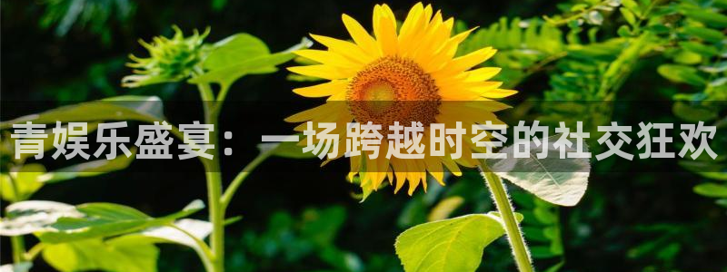 恒盛娱乐包怎么样：青娱乐盛宴：一场跨越时空的社交狂欢