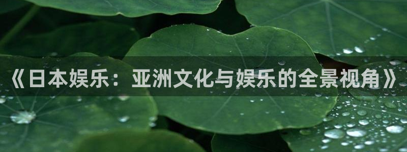 恒盛娱乐平台官网入口：《日本娱乐：亚洲文化与娱乐的全景视角》