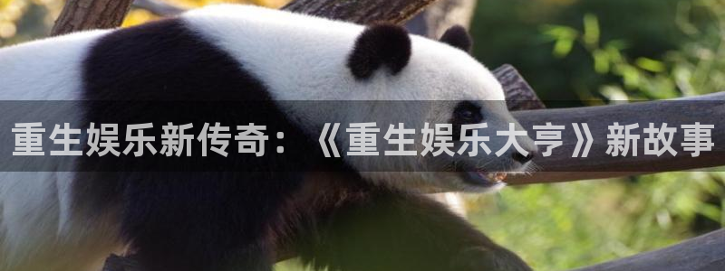 恒盛娱乐体育和杏耀是哪个公司的：重生娱乐新传奇：《重生娱乐大亨》新故事