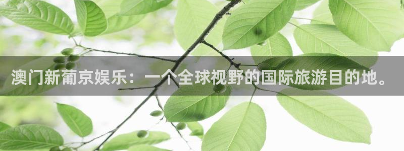 恒盛娱乐下载链接是多少：澳门新葡京娱乐：一个全球视野的国际旅游目的地。
