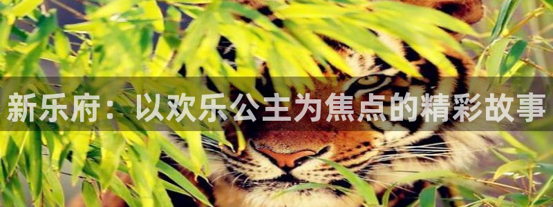 恒盛娱乐的平台：新乐府：以欢乐公主为焦点的精彩故事