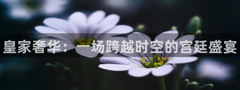 恒盛娱乐哪个游戏好爆：皇家奢华：一场跨越时空的宫廷盛宴