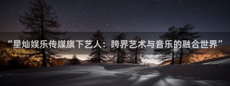 恒盛娱乐5：“星灿娱乐传媒旗下艺人：跨界艺术与音乐的融合世界”