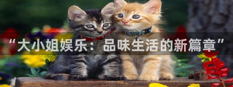 恒盛娱乐环保：“大小姐娱乐：品味生活的新篇章”