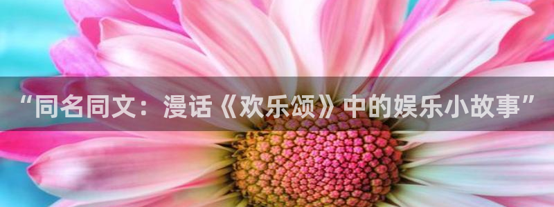 恒盛娱乐官网版下载：“同名同文：漫话《欢乐颂》中的娱乐小故事”