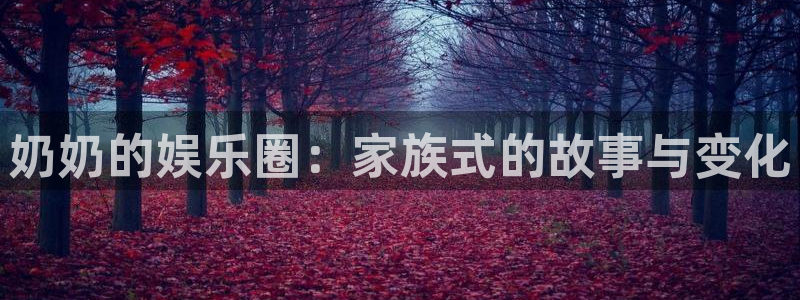 恒盛娱乐电子游戏网页版：奶奶的娱乐圈：家族式的故事与变化