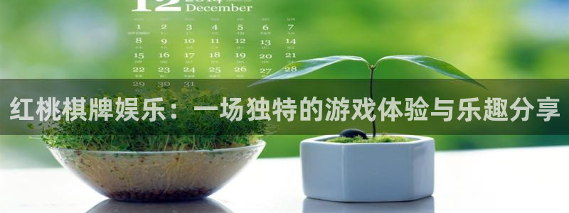 恒盛娱乐麻将胡了：红桃棋牌娱乐：一场独特的游戏体验与乐趣分享