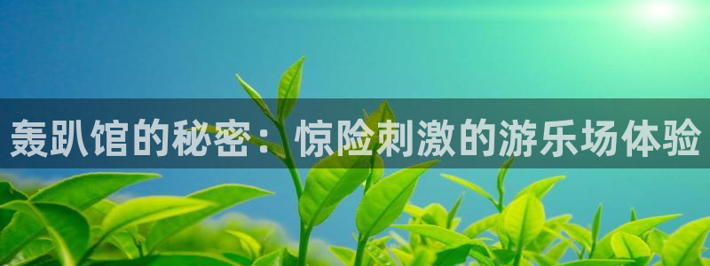 恒盛娱乐体育凯捷平台注册：轰趴馆的秘密：惊险刺激的游乐场体验