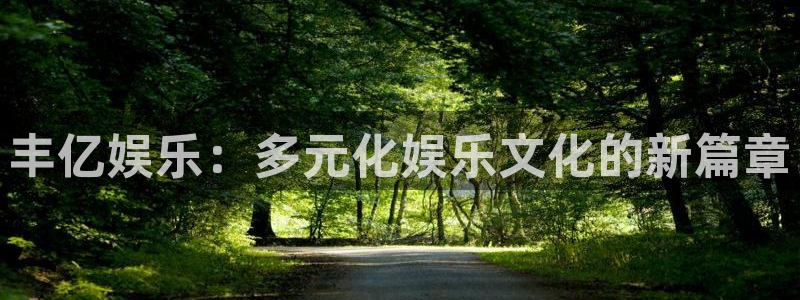 恒盛娱乐电子有限公司：丰亿娱乐：多元化娱乐文化的新篇章