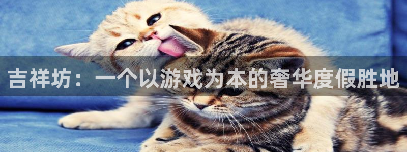 恒盛娱乐体育在线注册：吉祥坊：一个以游戏为本的奢华度假胜地