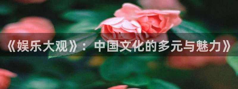 恒盛娱乐官网：《娱乐大观》：中国文化的多元与魅力》