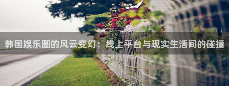 恒盛娱乐在线下载：韩国娱乐圈的风云变幻：线上平台与现实生活间的碰撞