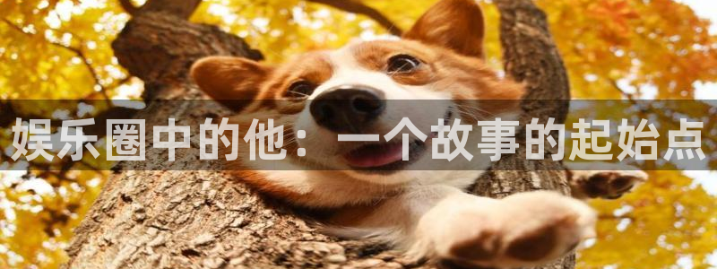 恒盛娱乐那个爆率高：娱乐圈中的他：一个故事的起始点