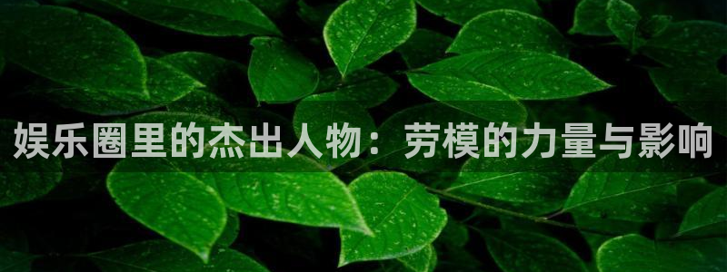 恒盛娱乐2登录：娱乐圈里的杰出人物：劳模的力量与影响