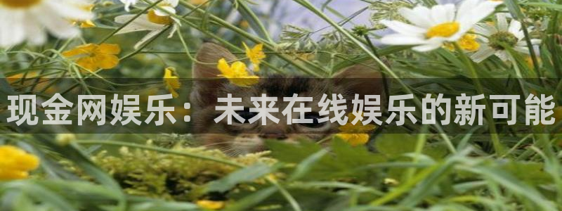 恒盛娱乐体育2：现金网娱乐：未来在线娱乐的新可能