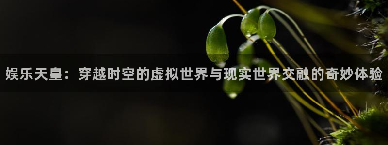 恒盛娱乐2平台注册：娱乐天皇：穿越时空的虚拟世界与现实世界交融的奇妙体验