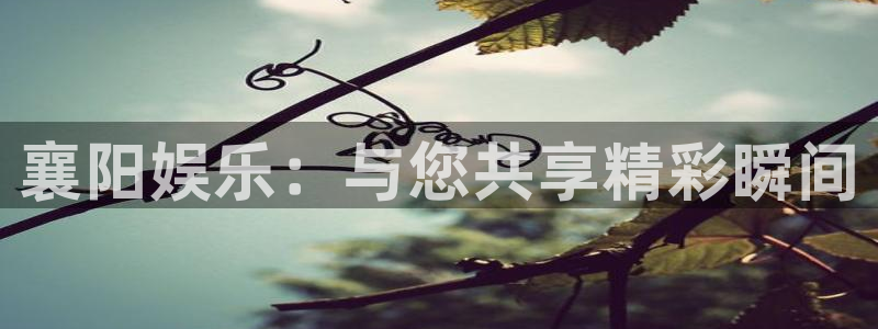 恒盛娱乐官网：襄阳娱乐：与您共享精彩瞬间